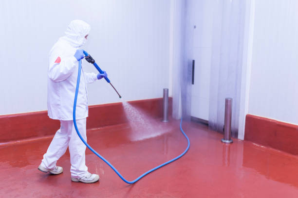 Best Oil Spill Cleanup  in Whitmire, SC